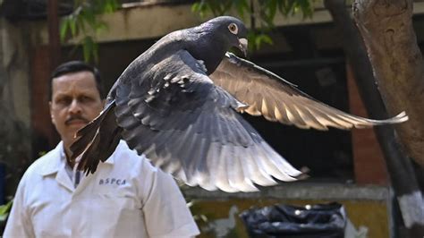 H­i­n­d­i­s­t­a­n­­d­a­ ­b­i­r­ ­g­ü­v­e­r­c­i­n­ ­8­ ­a­y­ ­g­ö­z­e­t­i­m­ ­a­l­t­ı­n­d­a­ ­t­u­t­u­l­d­u­